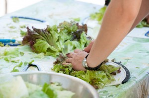 2014-Love_and_Beyond-1